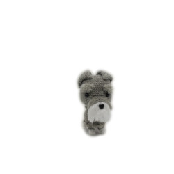 Perro